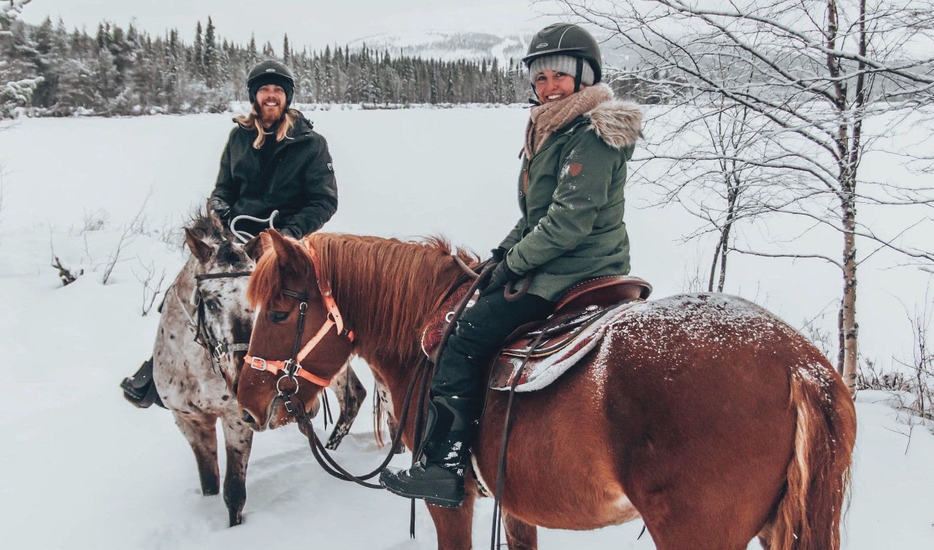 Paardrijden Lapland