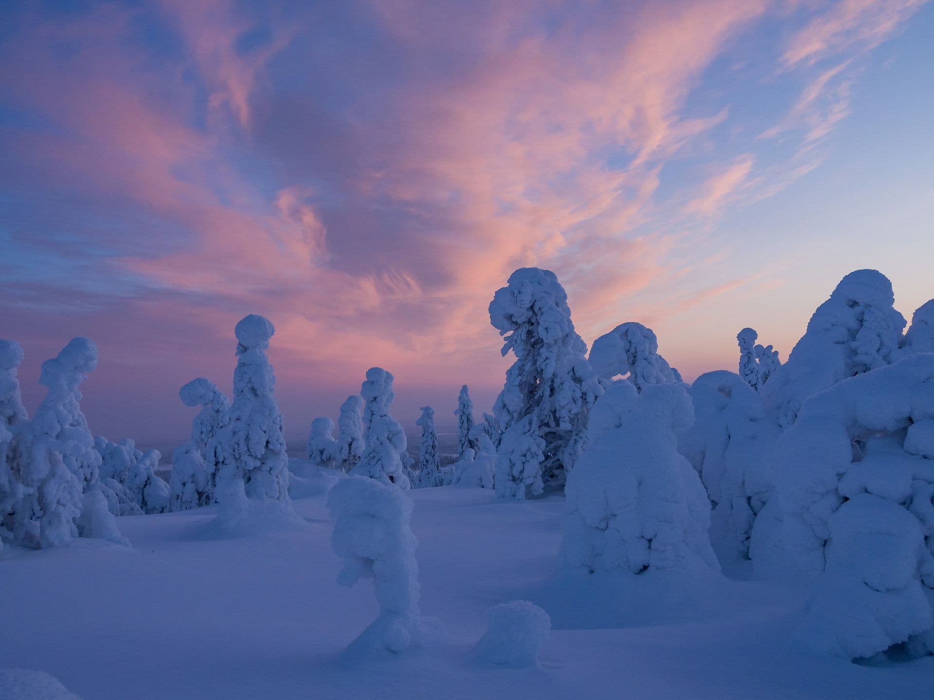 Sneeuwschoenwandeling naar de Valtavaara berg