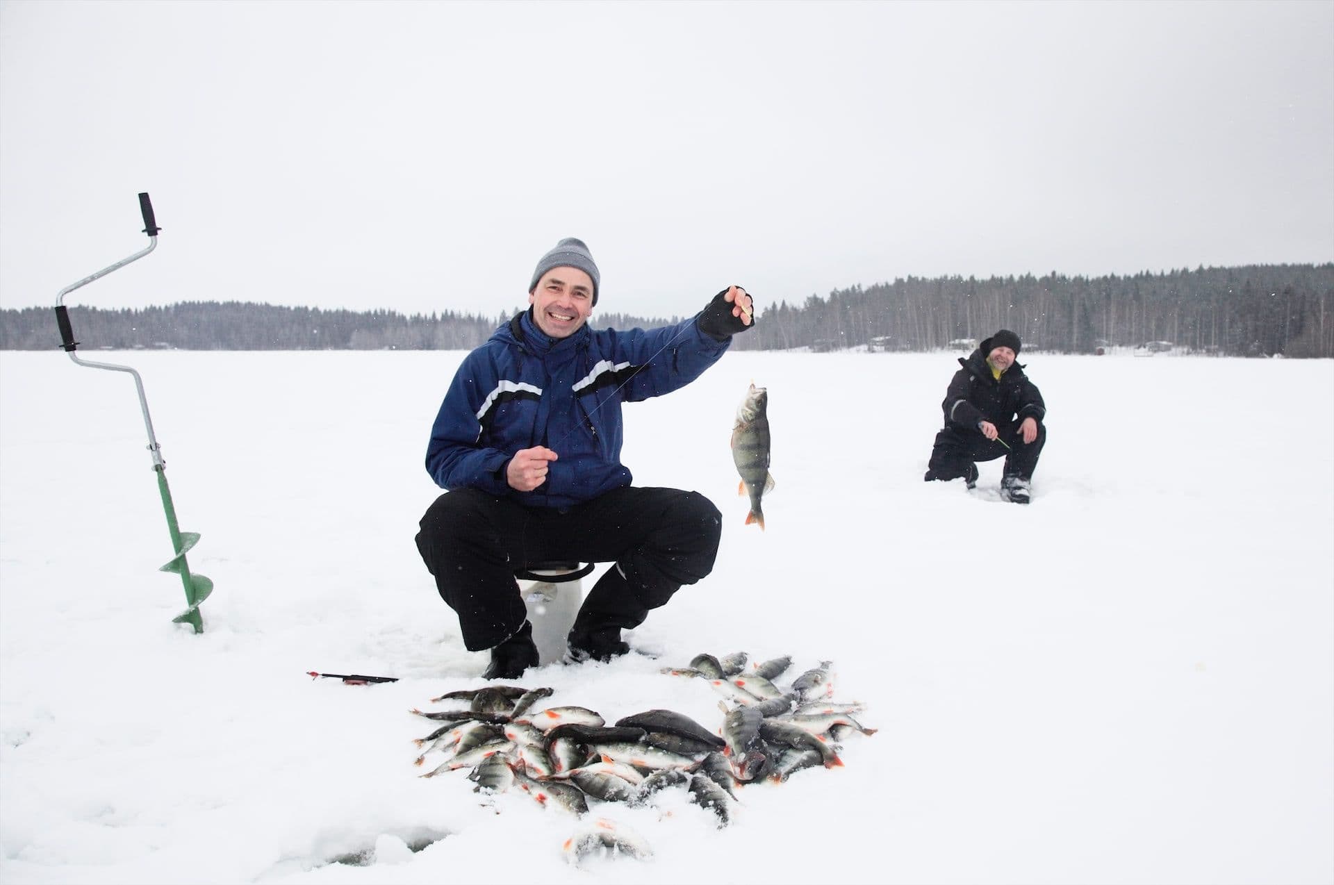 IJsvissen Lapland