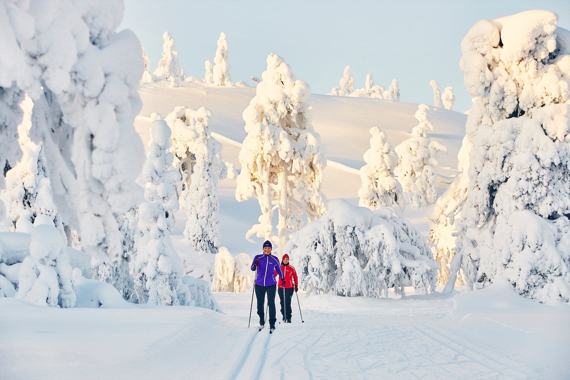 Langlaufen Lapland sneeuw