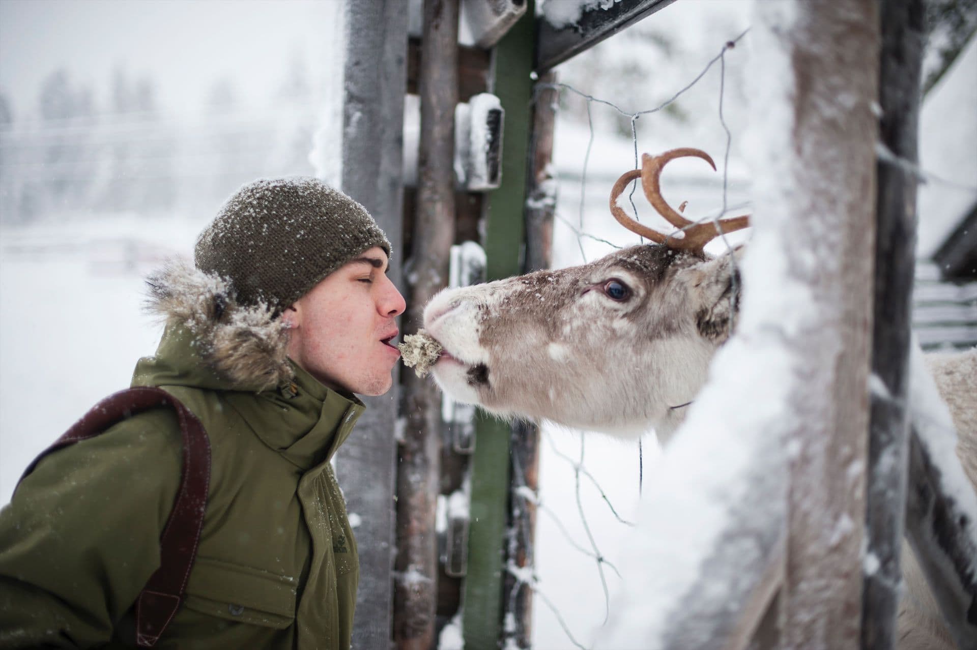 man met rendier lapland