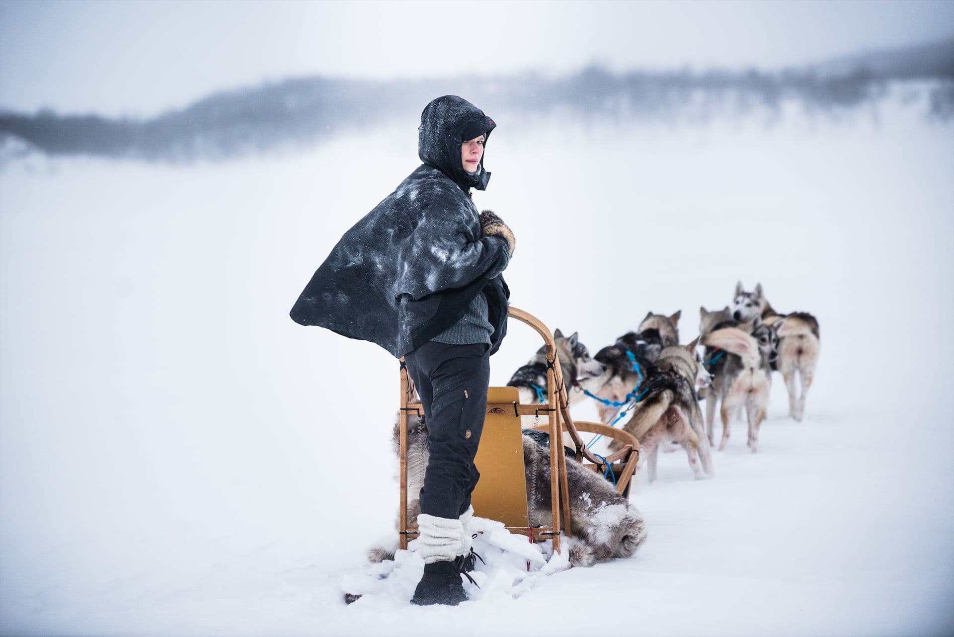 Lapland huskytocht